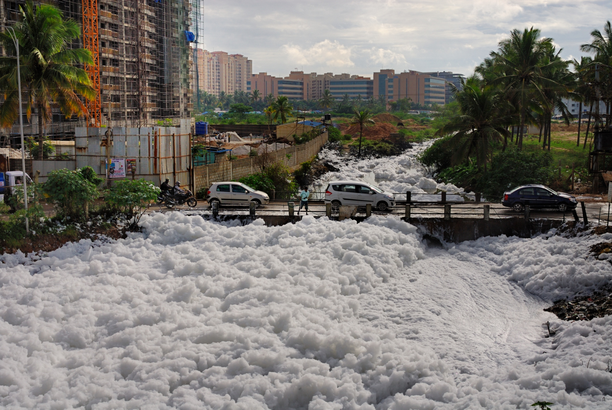 Lake Froth