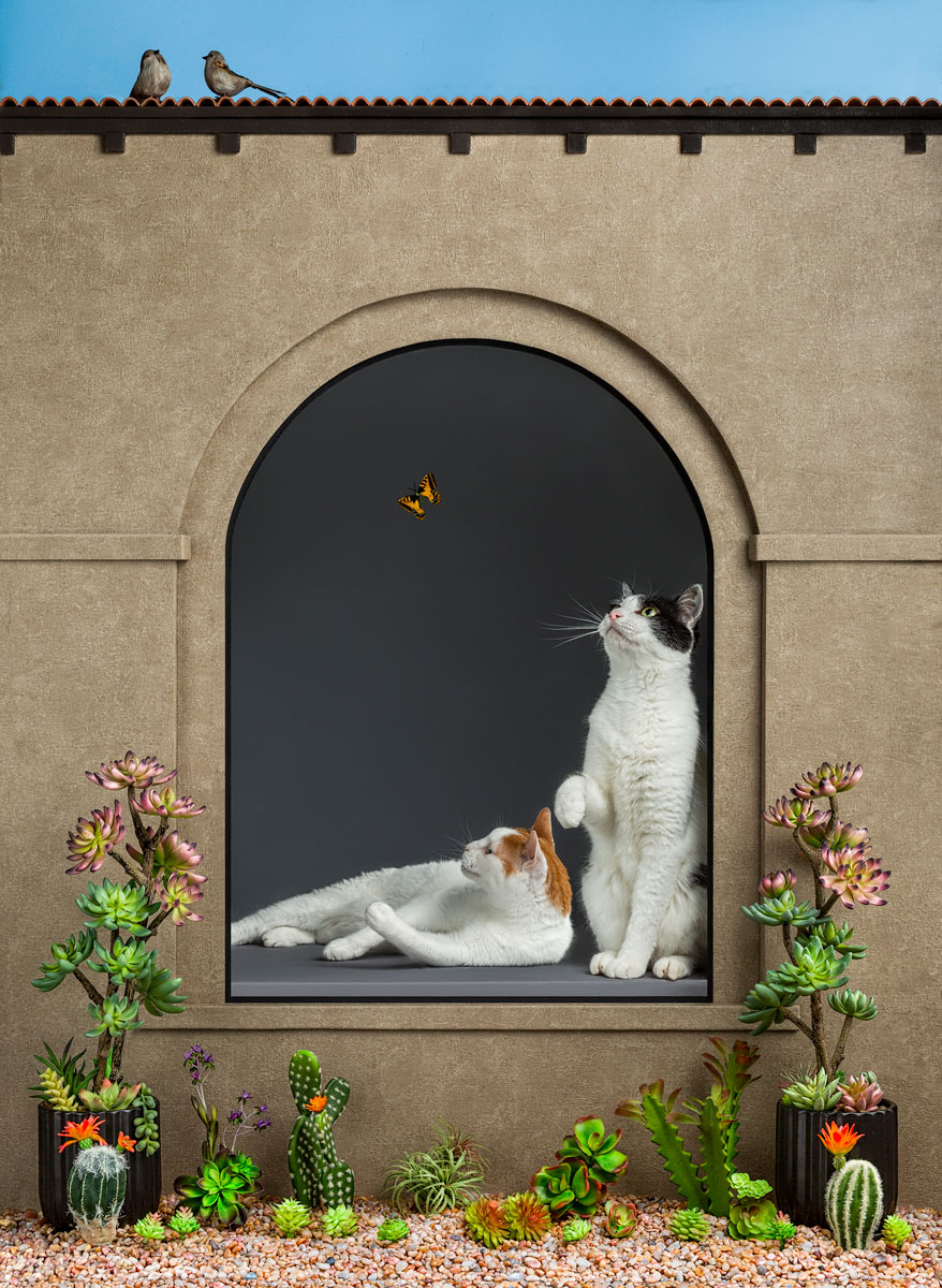 Hacienda window