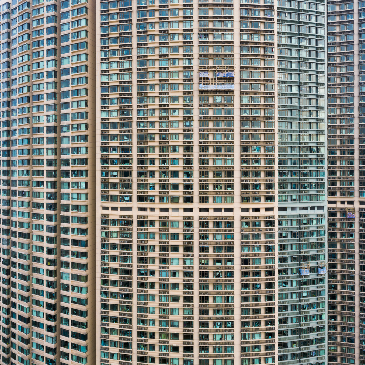 A Bamboo Scaffold 