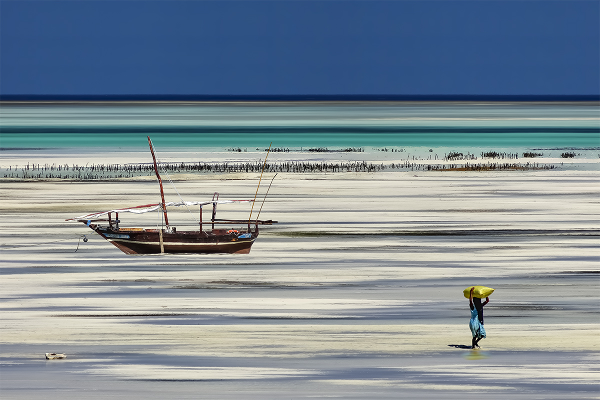 La porte d'algue à Zanzibar