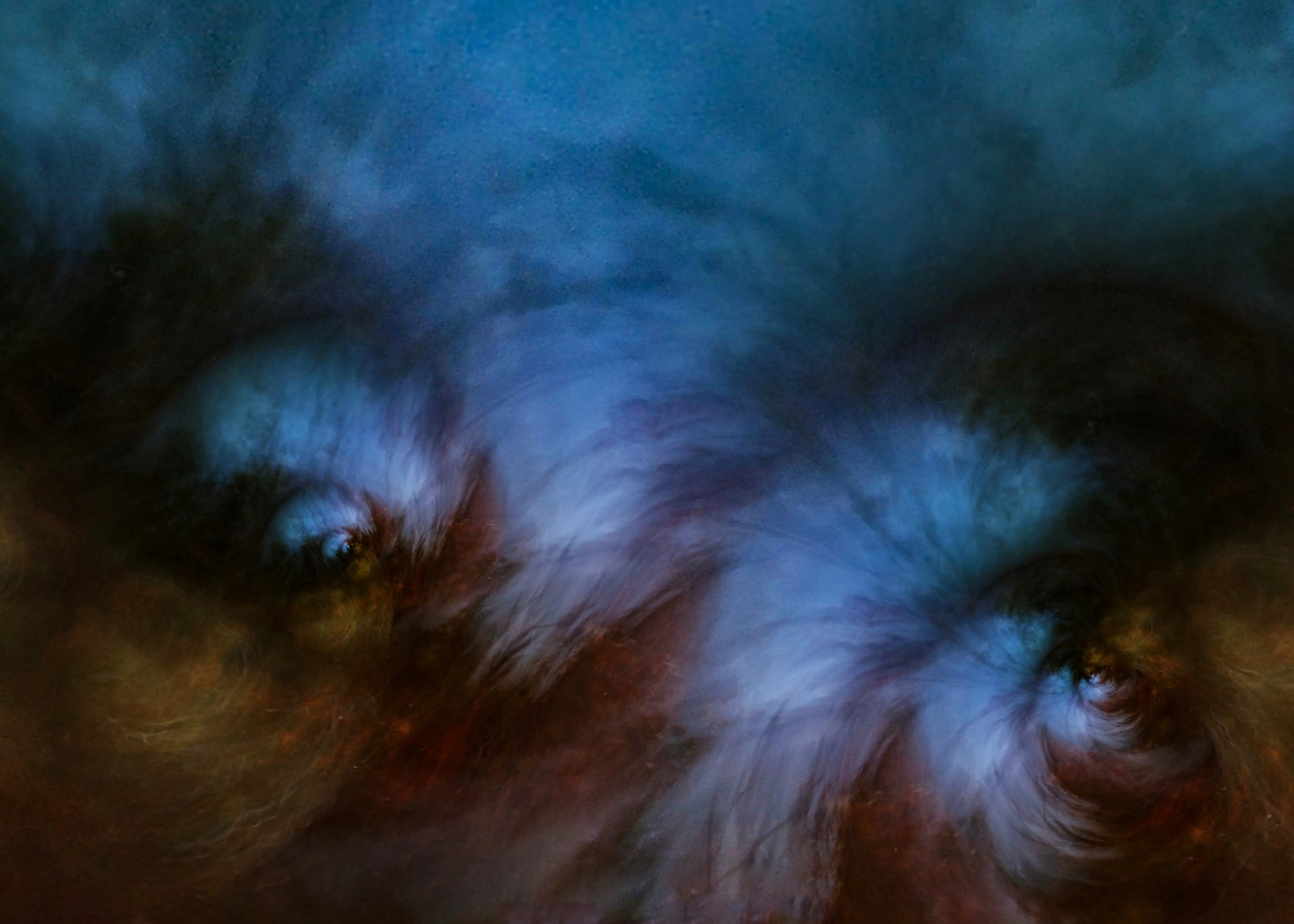 D'autres regard