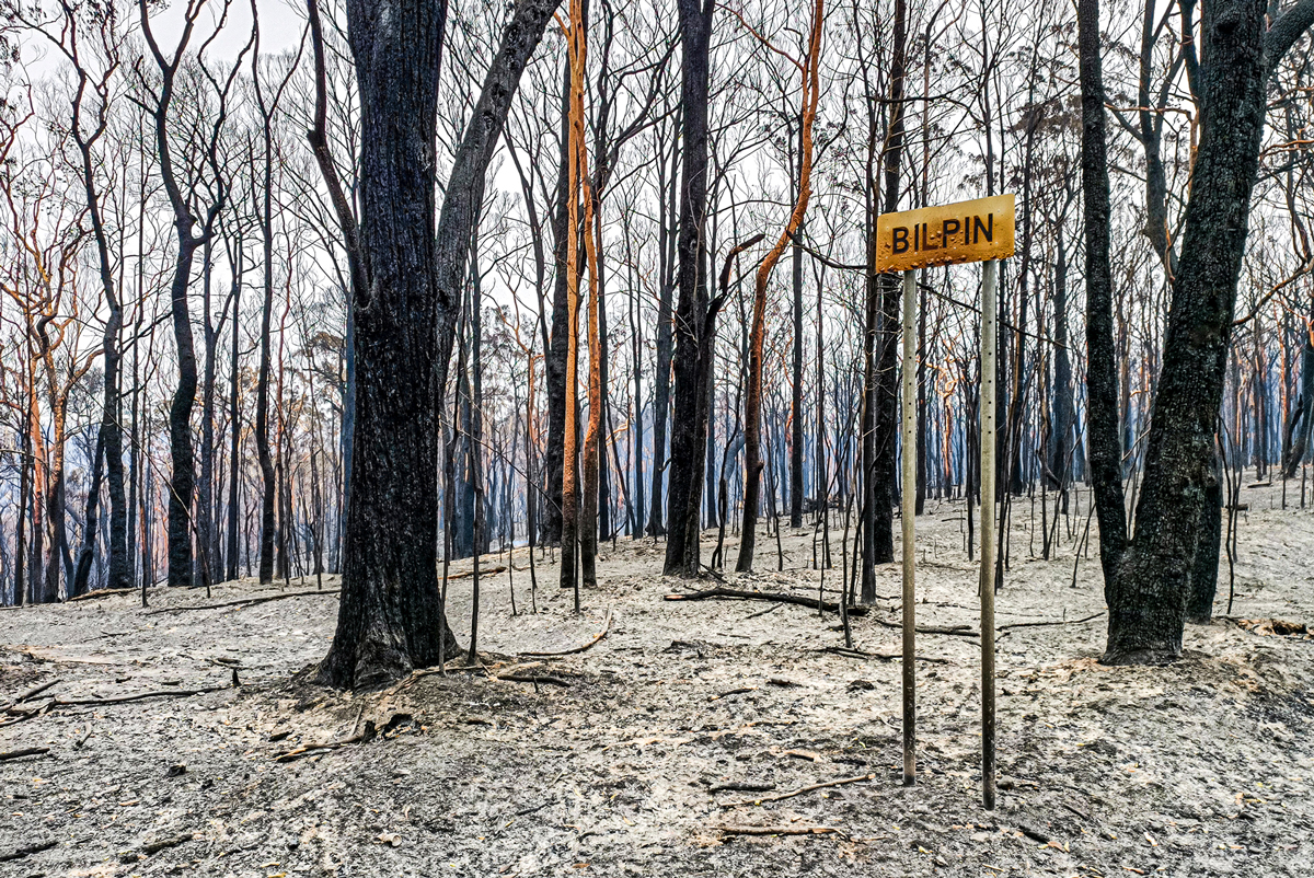 The Morning After - Australia's Black Summer