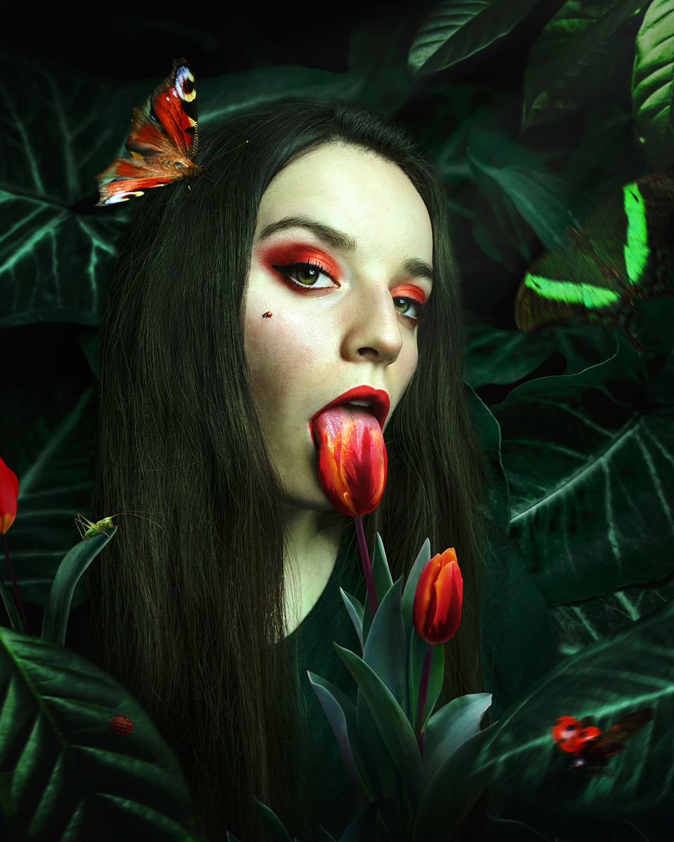 Tulip