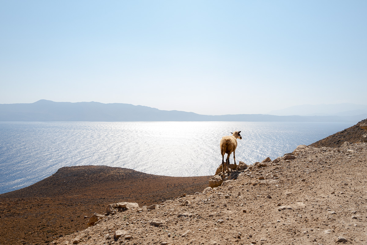 Pilgrimage