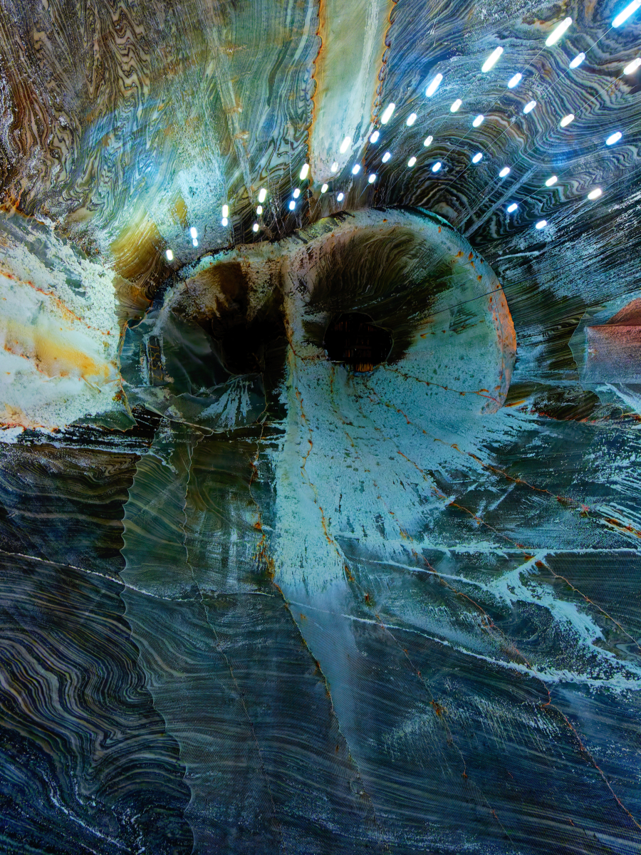 the cave owl