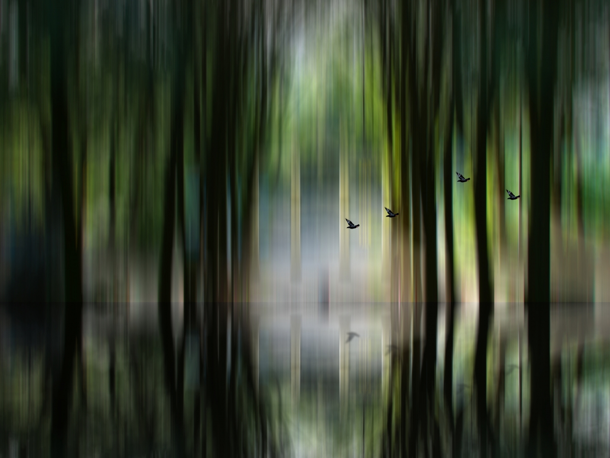 Boundary