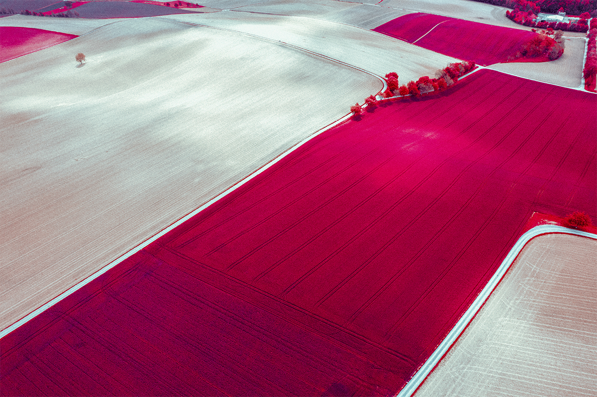 Field No.3 (From above)