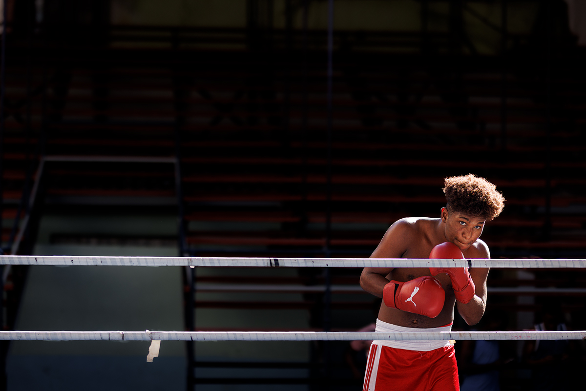 Boxer