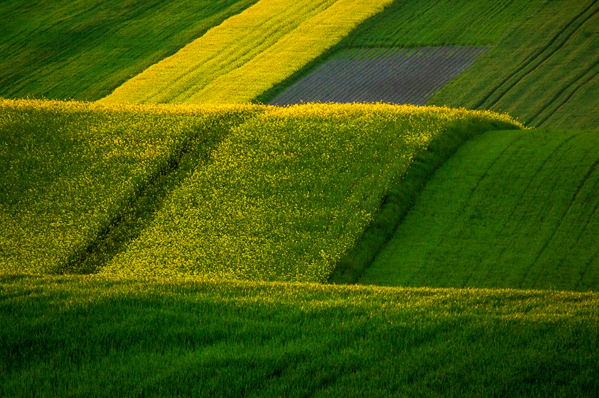 Nature painted