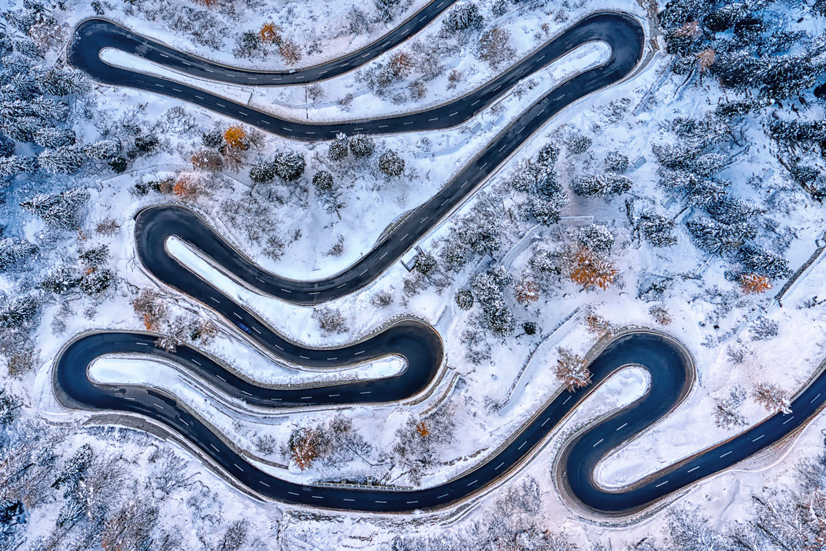 tapeworm