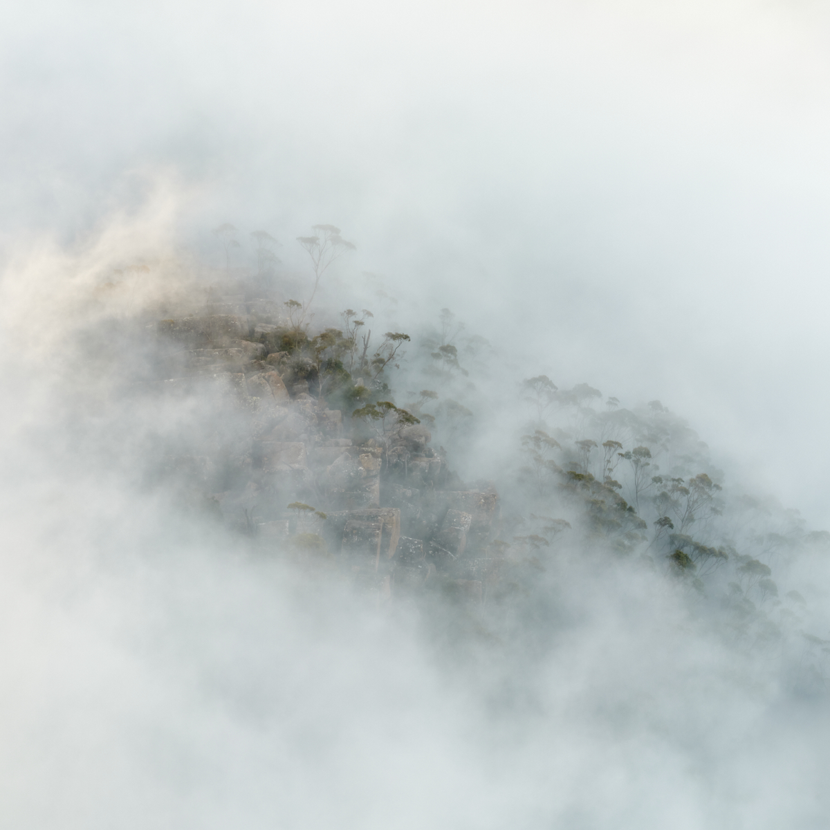 Veiled Landscape