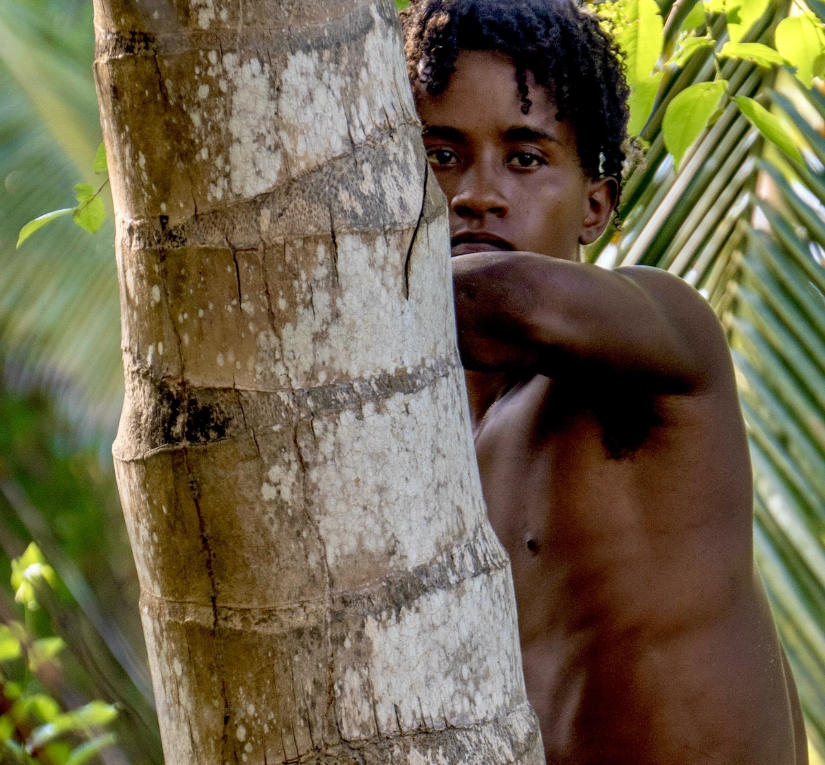 The Boy In The Trees