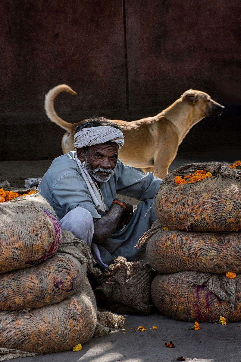 The Merigold seller
