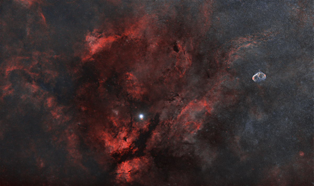 Cygnus
