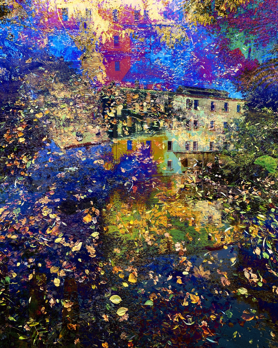 Autumn pond