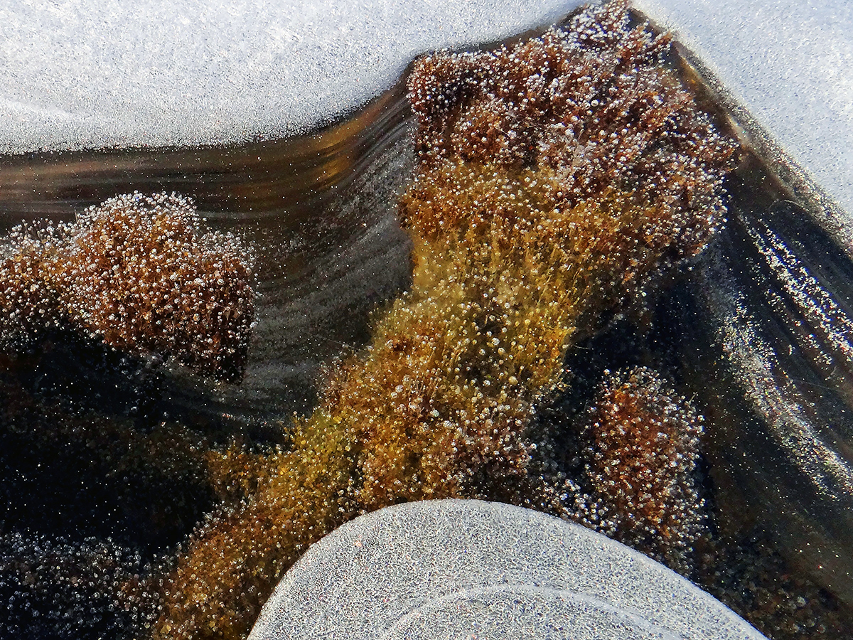 Ice Galaxy