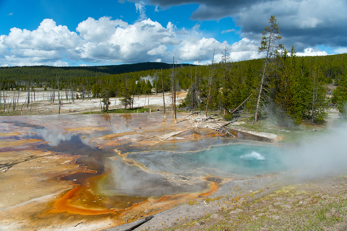 Yellowstone