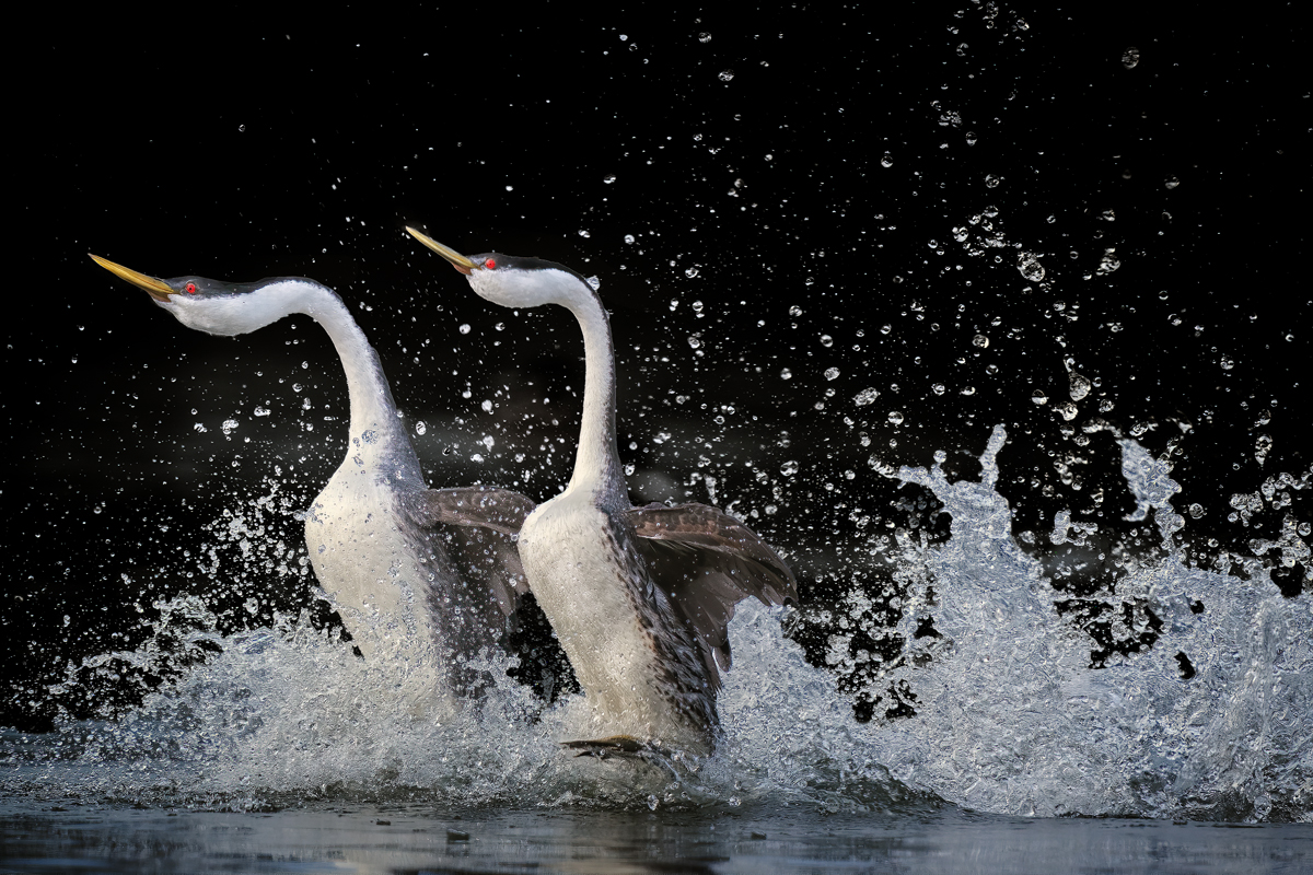 Rushing into Love