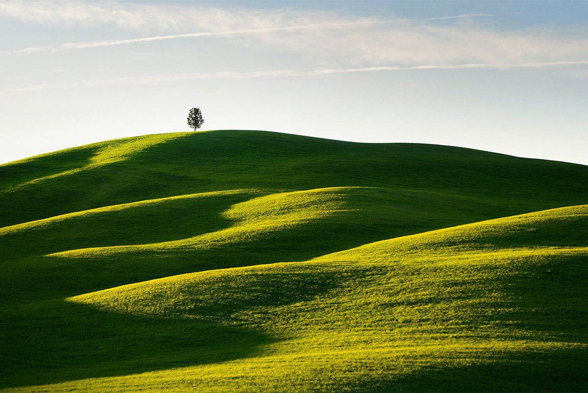Light paints the Tuscan hills