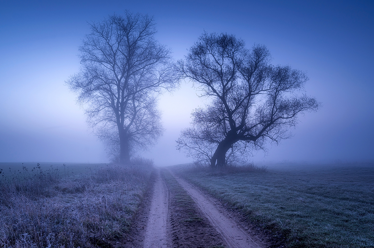 Gateway to the misty valley