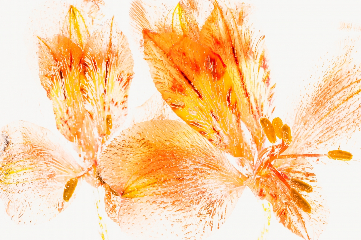 Orange and Red