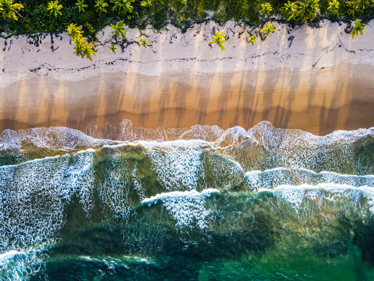 Tranquil Tide