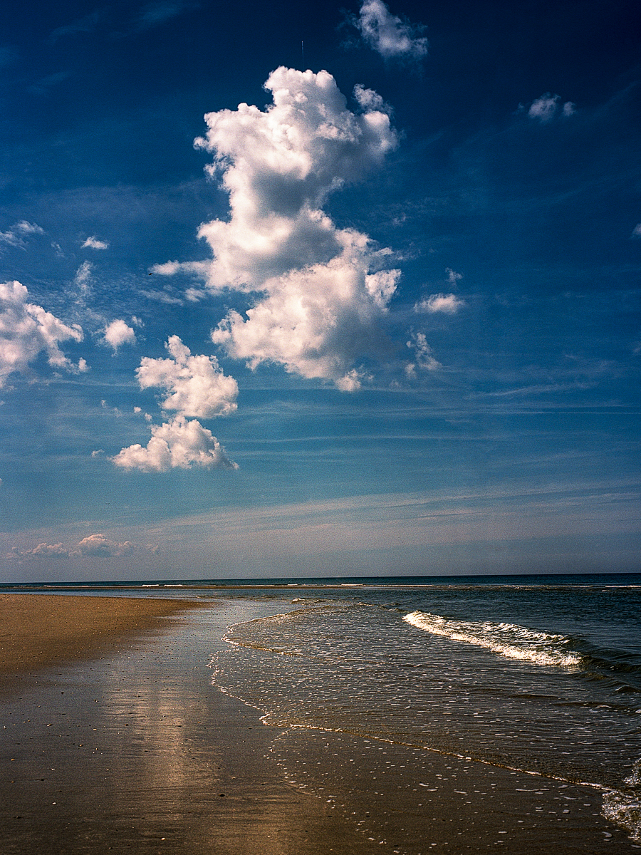 North Sea, Bergen aan Zee, North Sea coastal path walk (stage 4), June 29, 2022