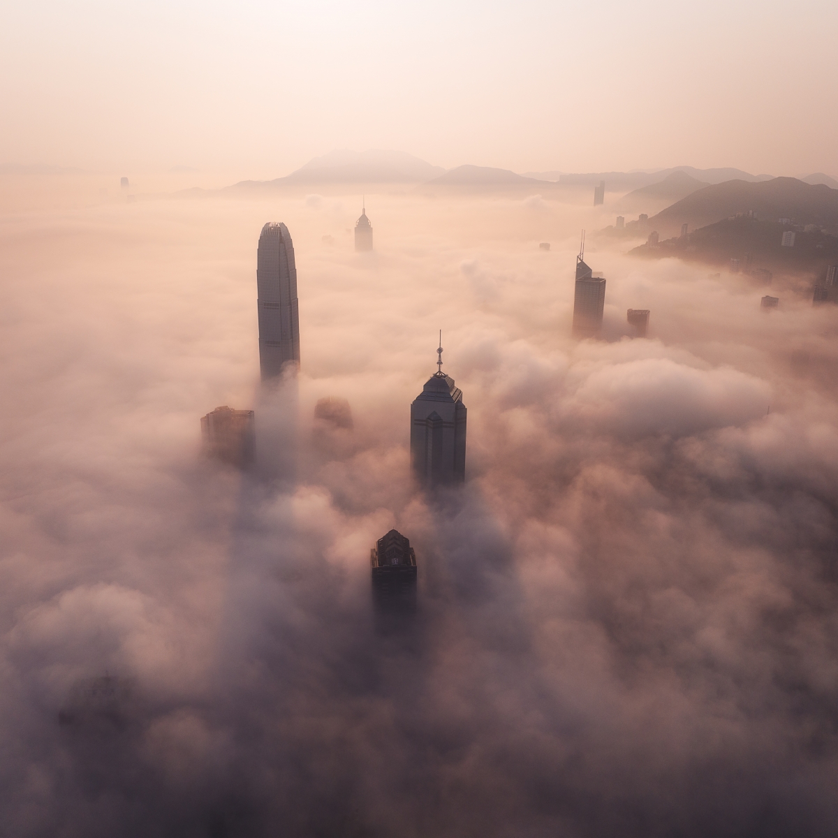 The foggy morning
