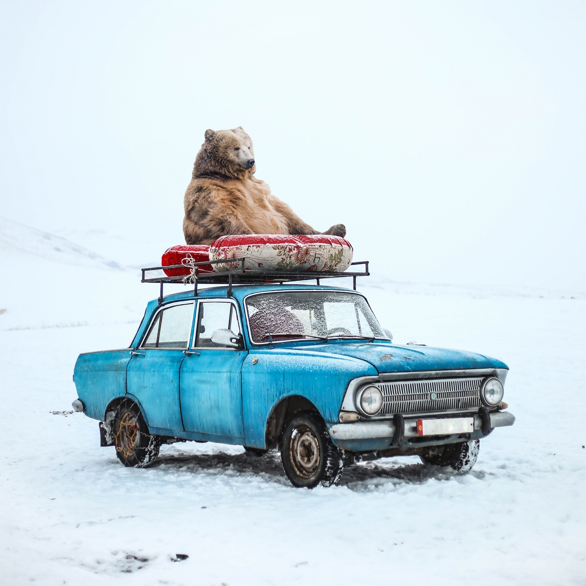 Road Trippin'
