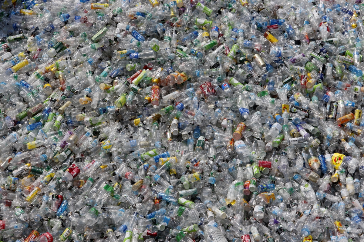plastic bottle 