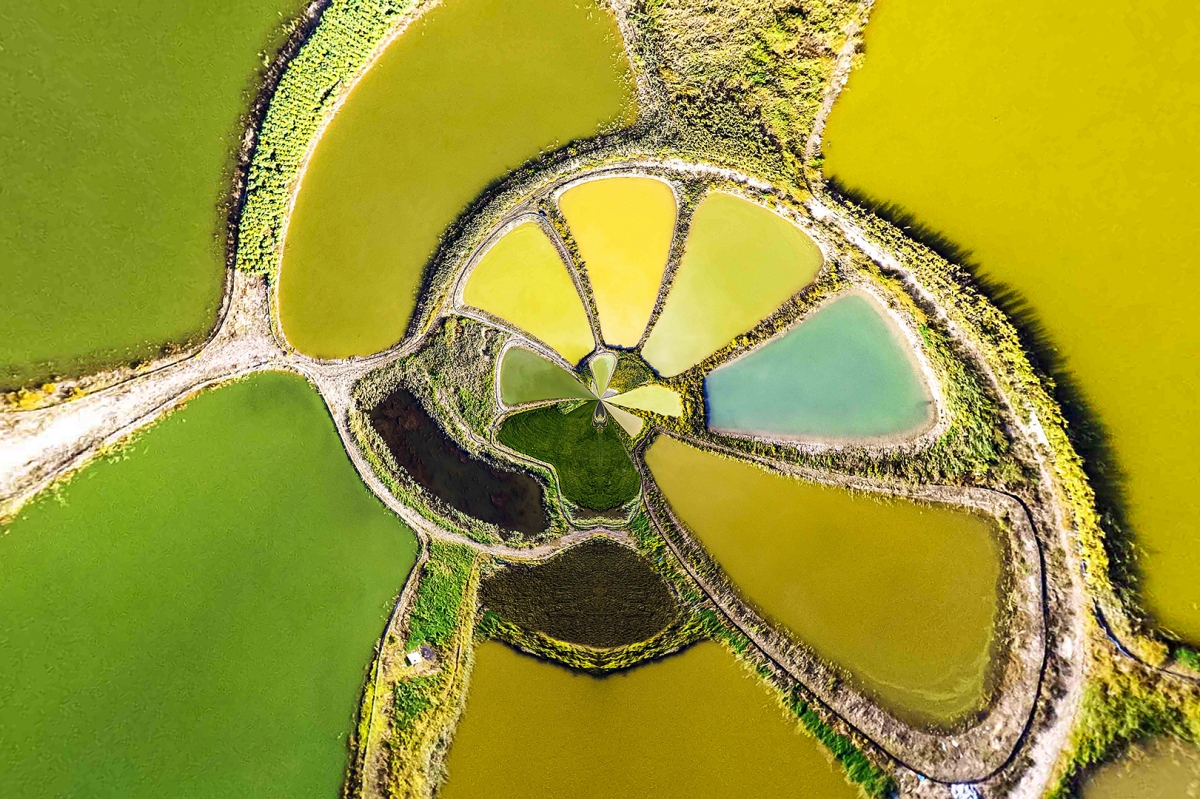 Earth  palette