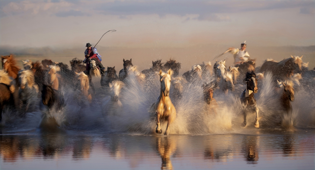 Gallop