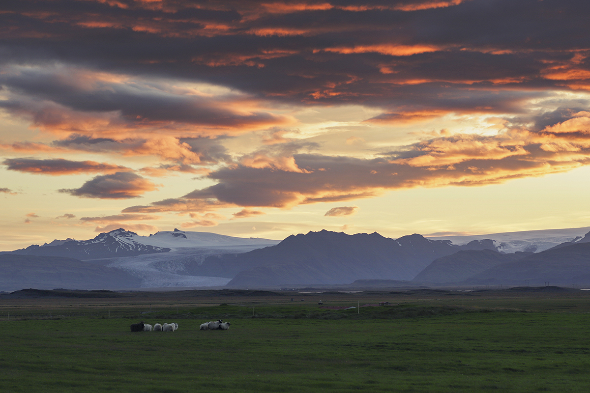 Pasture near the glacier