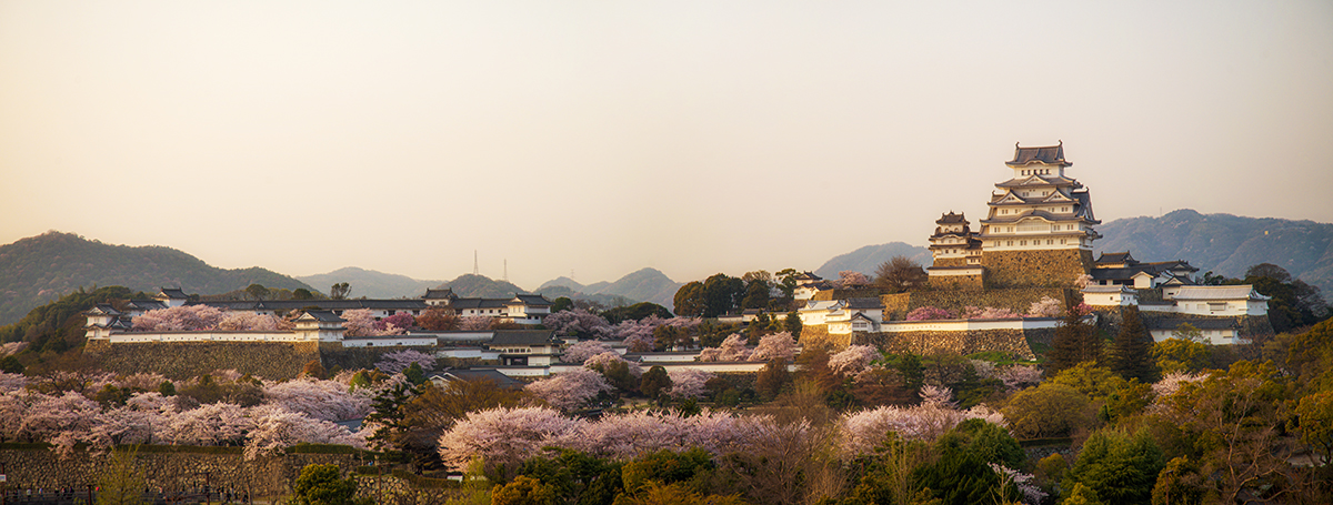 Himeji castle