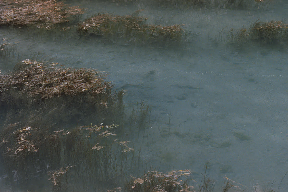 The Ophelia's Zone