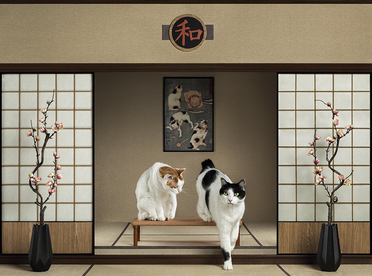 Japanese Interior