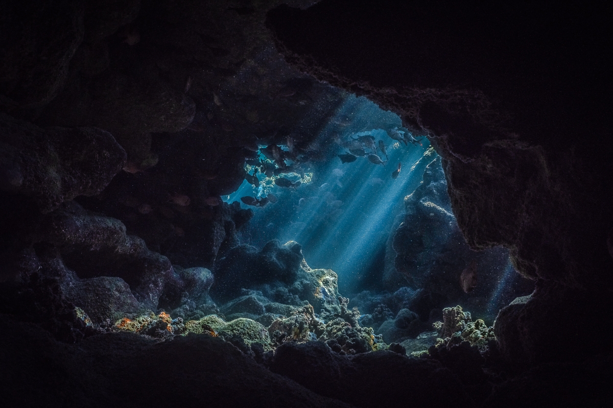 Sunrays underwater