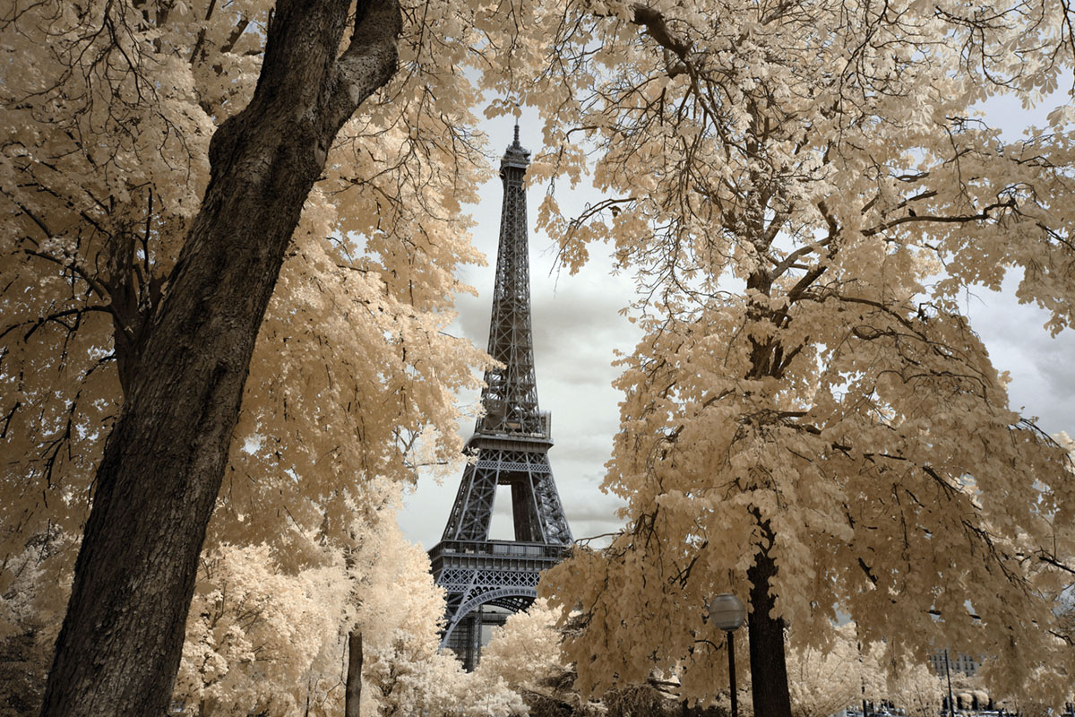 The King of Paris