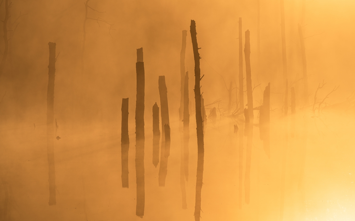 Calm Light