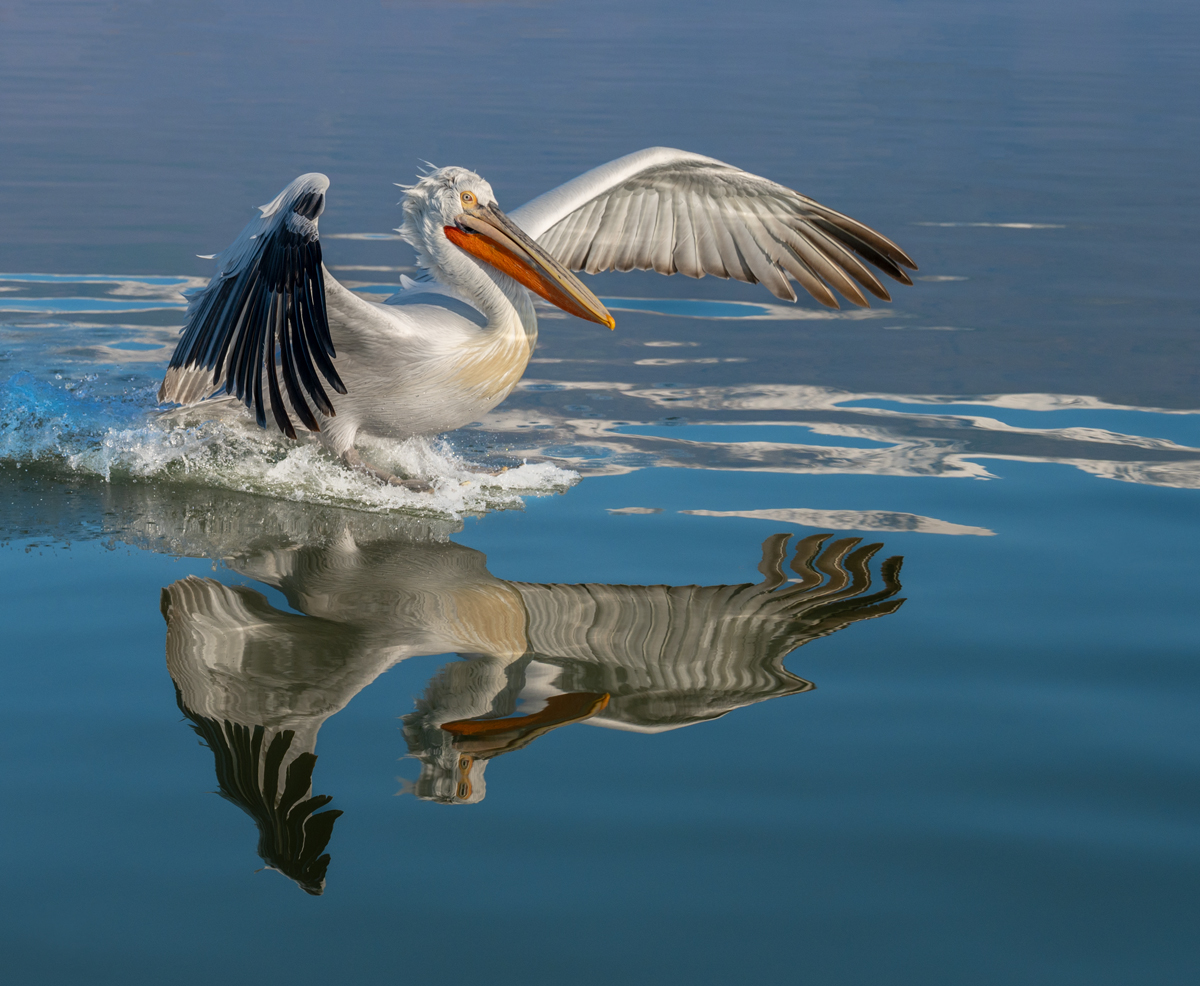 Reflecting
