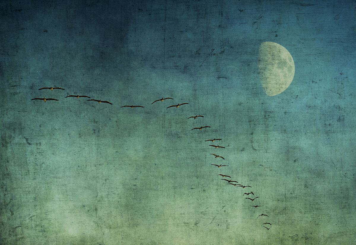 Formation Flying #2