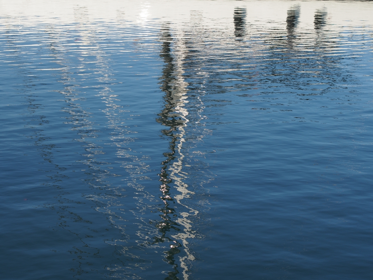 Reflections