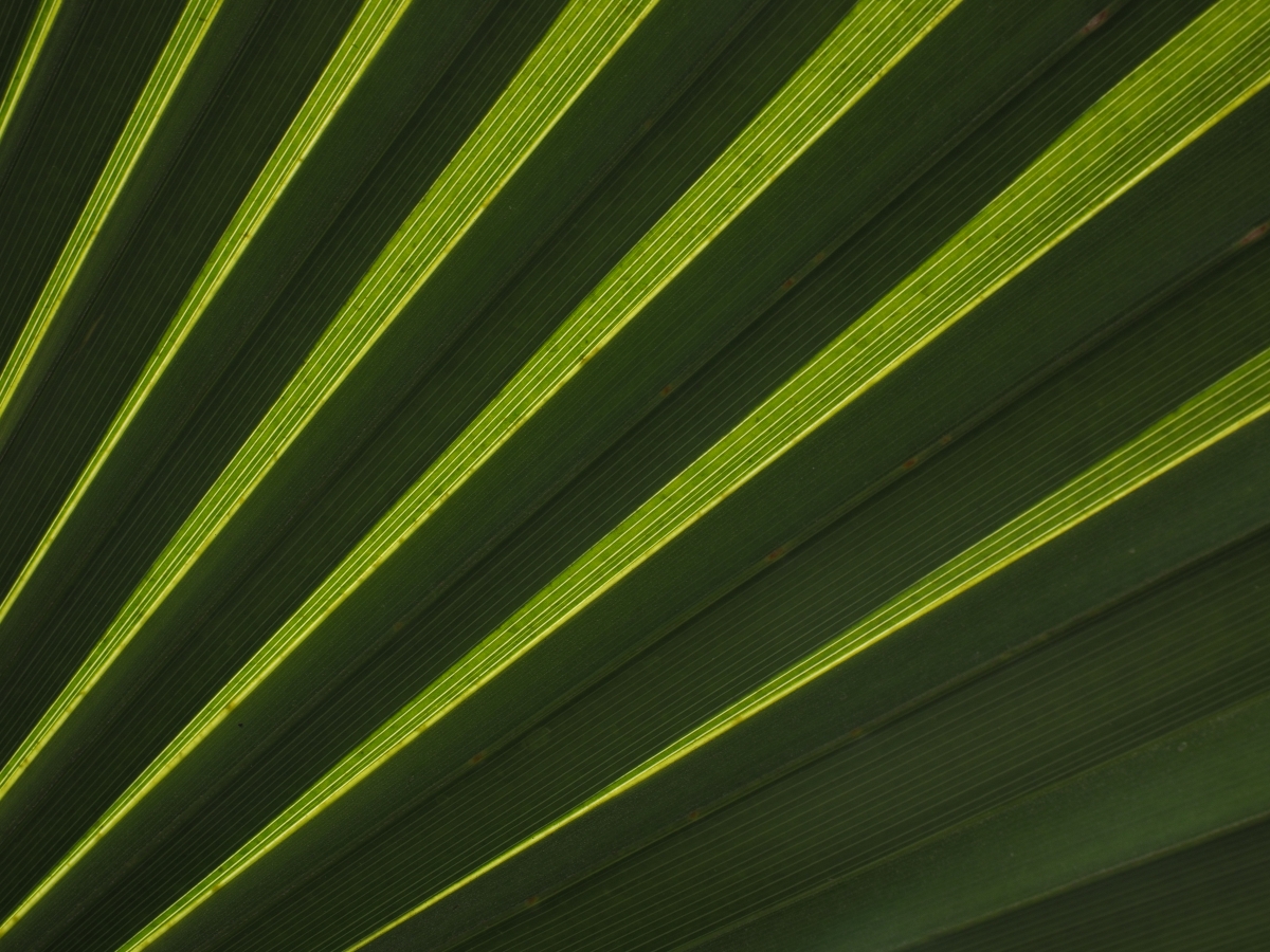 Streaks of green