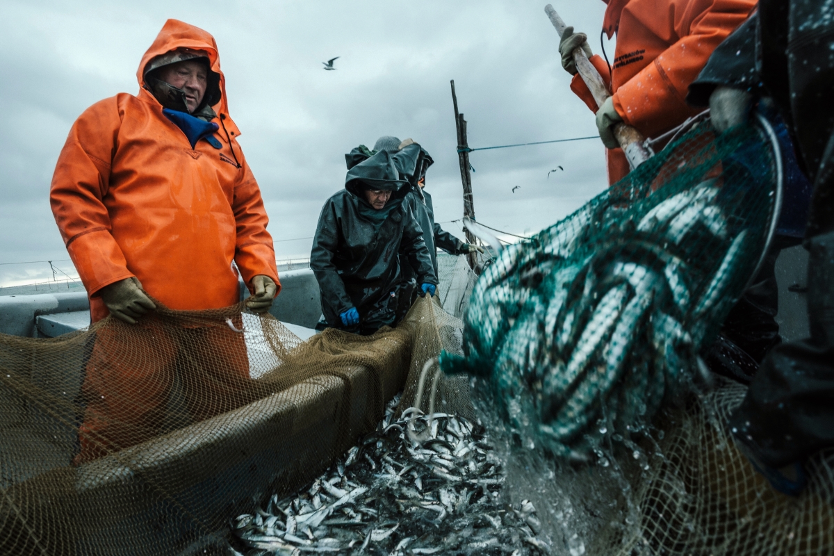 The last fisherman