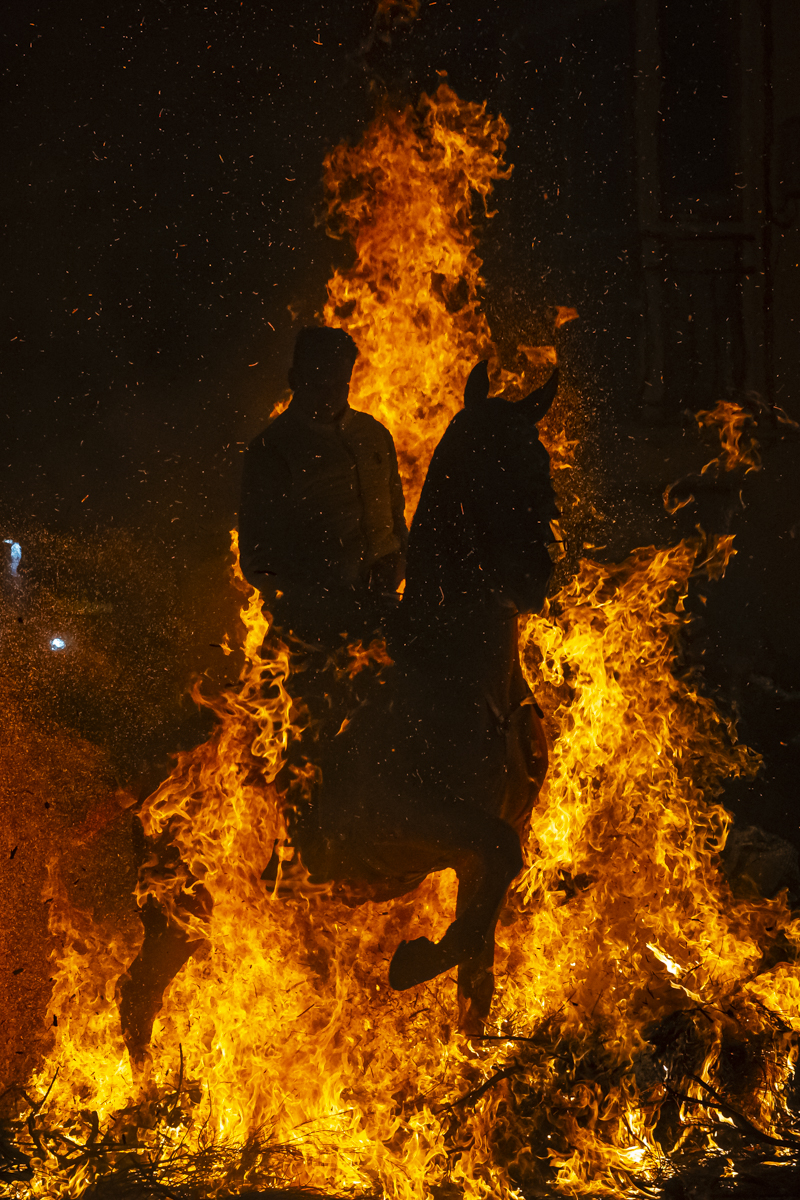 Fire Horse