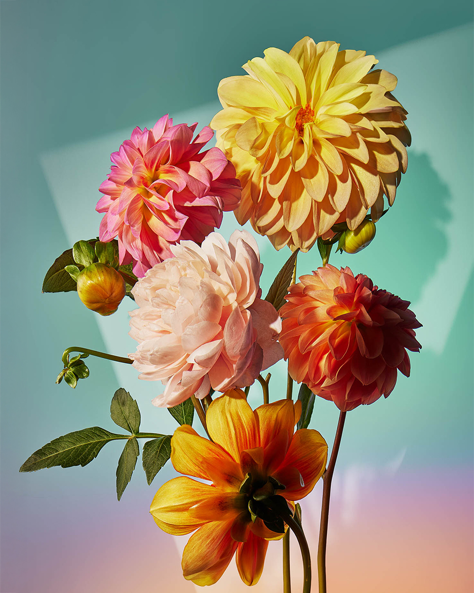 Colorbomb