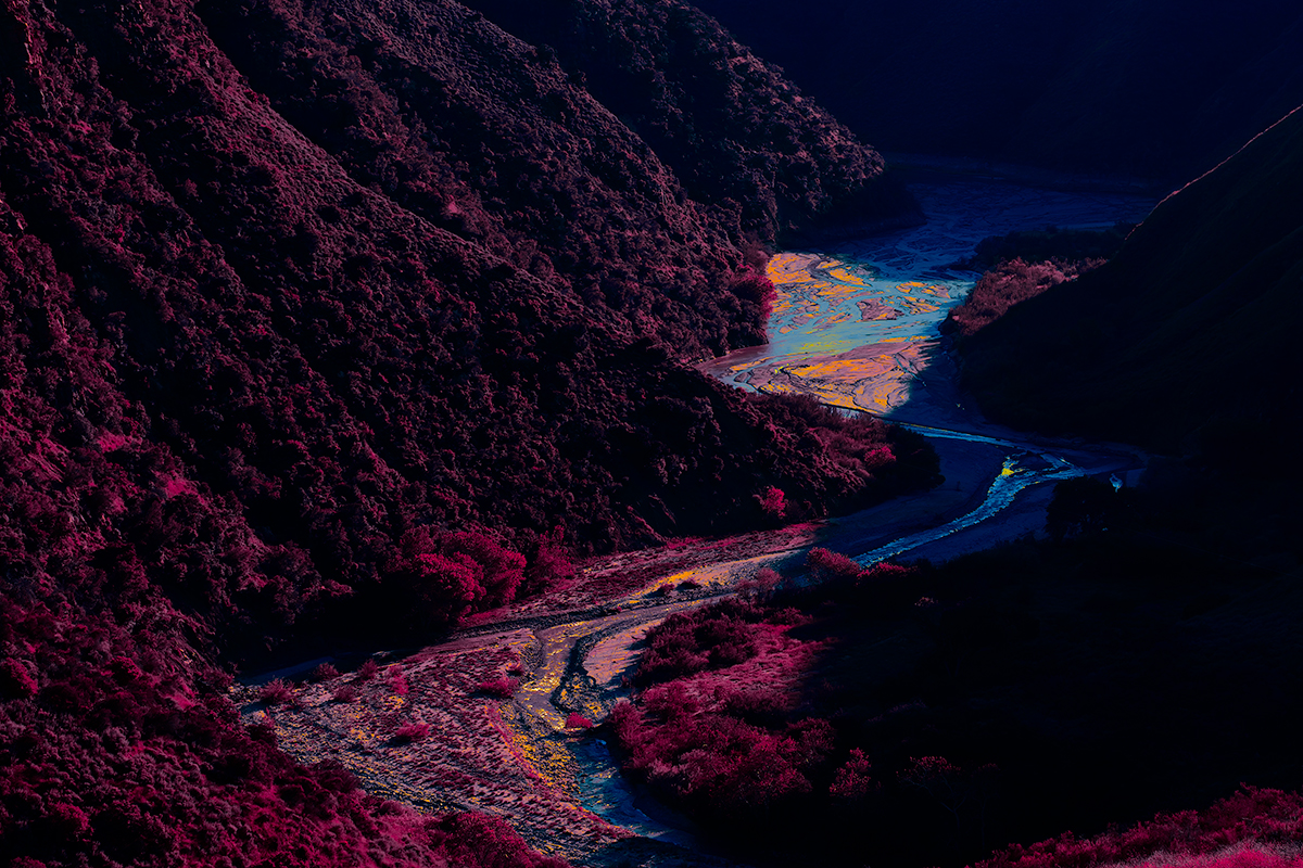 Pollution (The Coming Jurassic)