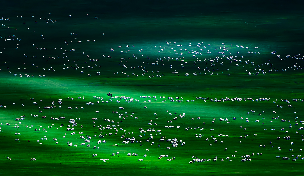 Prairie starry sky
