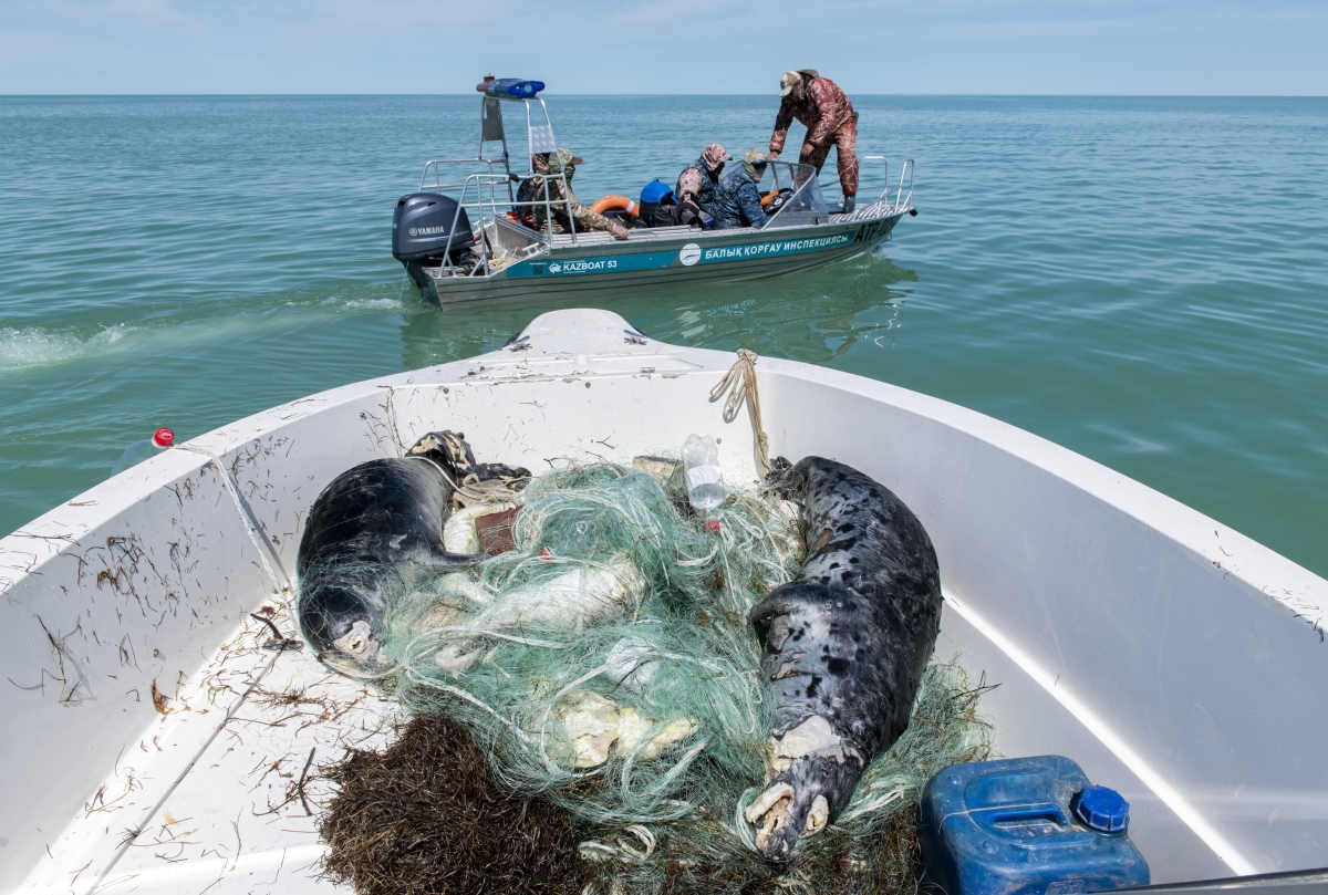 Save the Caspian Sea