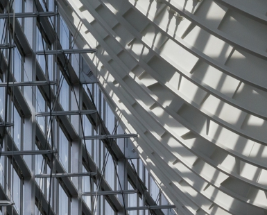 Lines and Curves